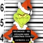 "Pinch the Grinch" 5K Run & 1K Fun Walk