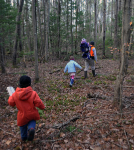 Nature-hike-5_edited-1