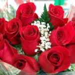 Woodbury Heights Fire Department Rose Sale