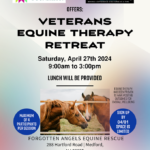 Equine Therapy Session - Forgotten Angels